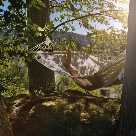 Aigen 13 - Dreiviertelhof Im Waldviertel