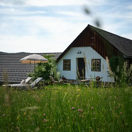 Aigen 13 - Dreiviertelhof Im Waldivertel Aigen (Zwettl)