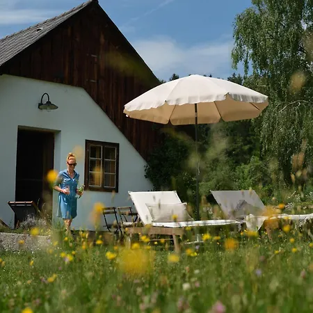Aigen 13 - Dreiviertelhof Im Waldivertel * Aigen (Zwettl)