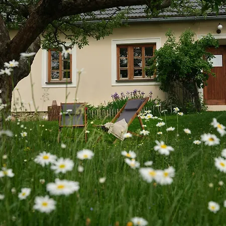 Apartment Aigen 13 - Dreiviertelhof Im Waldivertel Aigen (Zwettl)