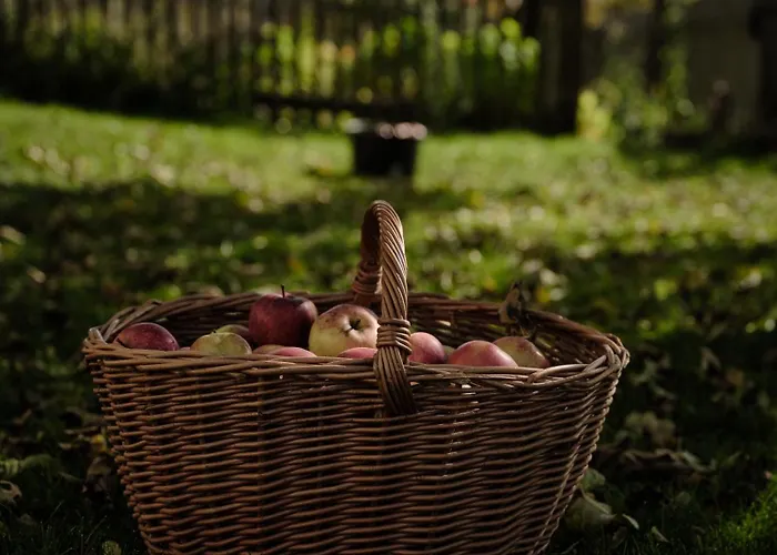 Aigen 13 - Dreiviertelhof Im Waldviertel アパート *