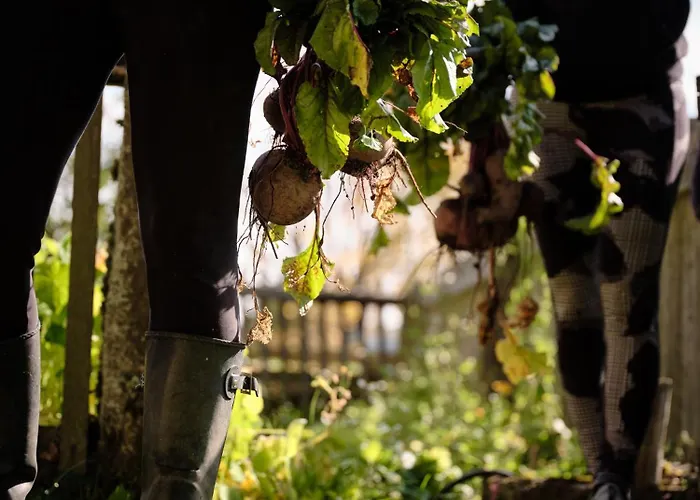 Aigen 13 - Dreiviertelhof Im Waldviertel