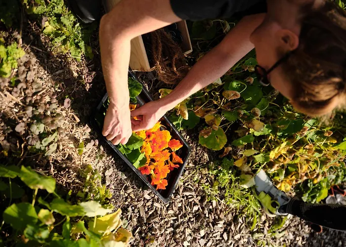 アパート Aigen 13 - Dreiviertelhof Im Waldviertel *